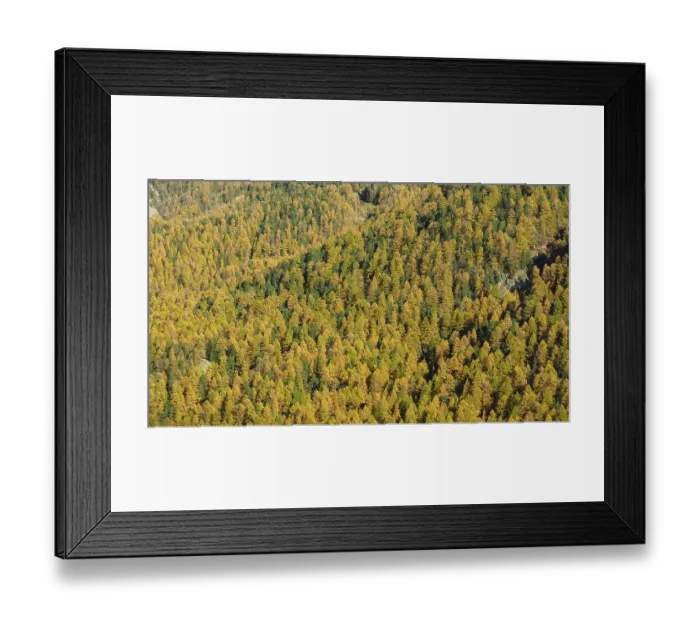 Framed Print : Autumn scene in the Swiss Alps