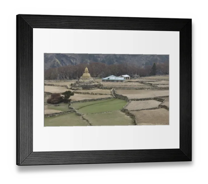 Framed Print : Terraced fields and old Stupa