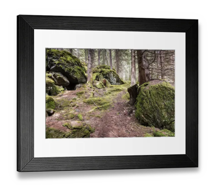 Framed Print : Forest with mossy rocks, WeiBpriachtal