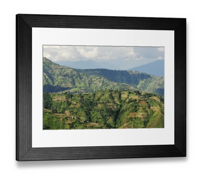 Framed Print : Rice terraces, hilly landscape