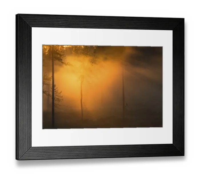 Framed Print : Evening fog in Stubba Nature Reserve