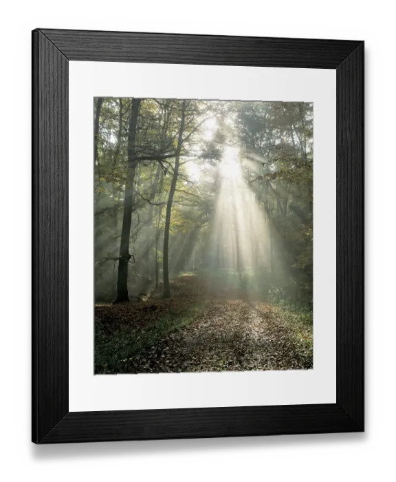 Framed Print : Sunrays breaking through morning mist