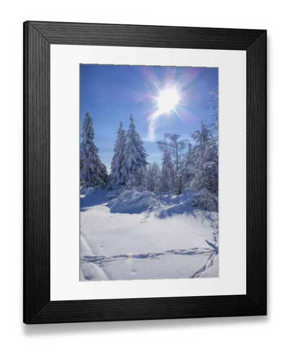 Framed Print : Winter forest with sun, forest in winter and sun 03