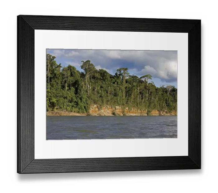 Framed Print : MADRE DE DIOS RIVER, MANU NATIONAL PARK IN PERU
