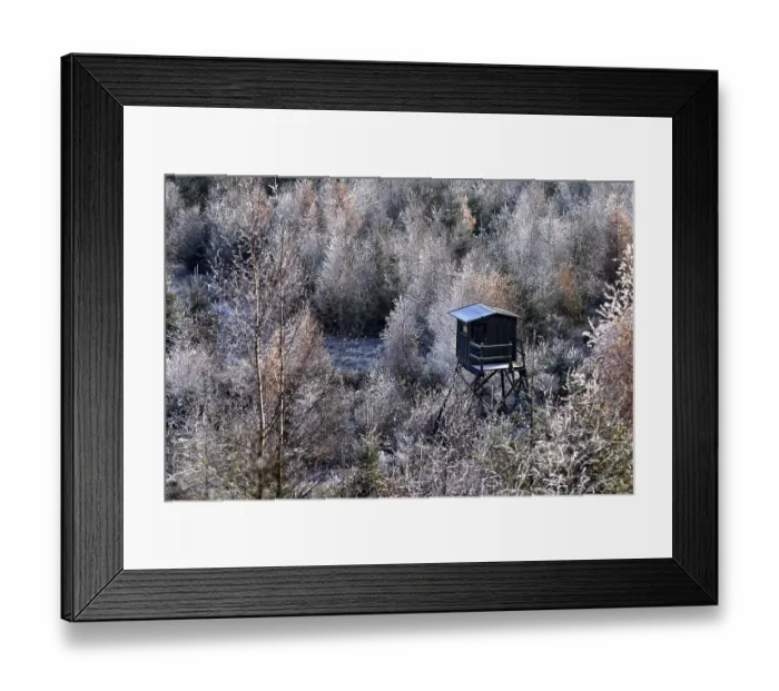 Framed Print : Ripened mixed forest with larches and beeches and a raised hide in the Hunsruck-Hochwald National Park in winter