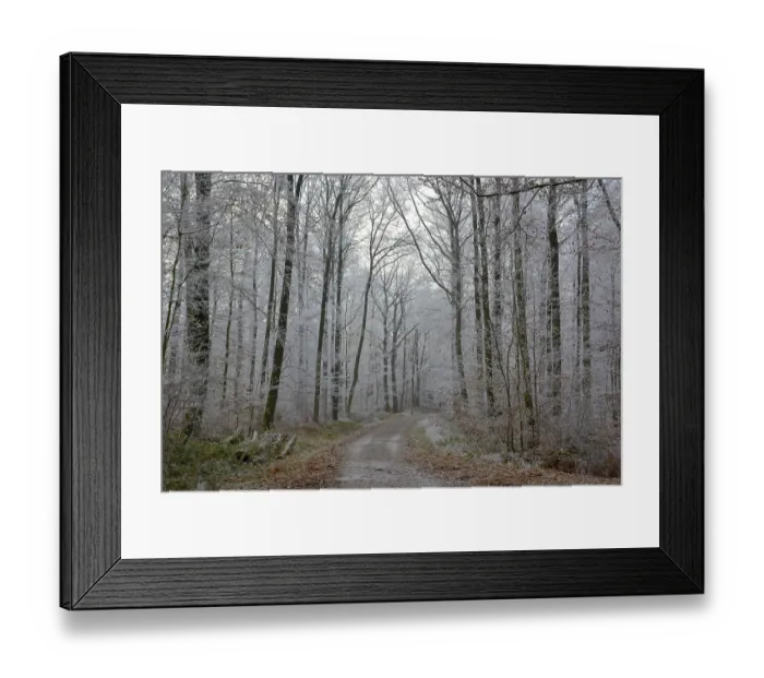 Framed Print : Maulbronn, Hoarfrost in the Forest