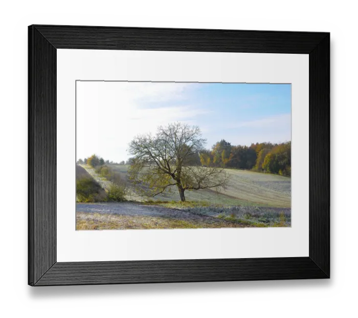 Framed Print : Hoarfrost landscape near Schmie Framed Print : Hoarfrost landscape near Schmie