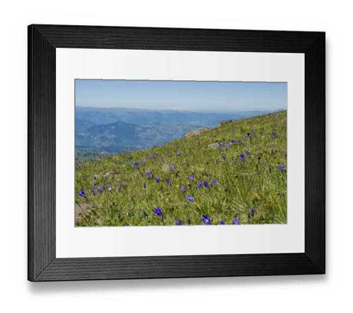 Framed Print : Green pasture in mountains during summer as nature background Framed Print : Green pasture in mountains during summer as nature background