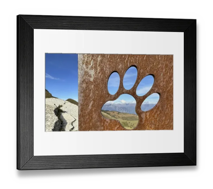 Framed Print : Dog Paw on a Rusty Metal Plate with Mountain View in a Sunny Day in Ticino