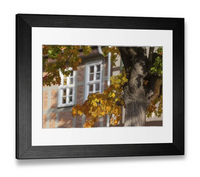 Framed Print : World Heritage City of Quedlinburg