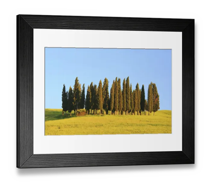 Framed Print : Tuscany forest 09 Framed Print : Tuscany forest 09