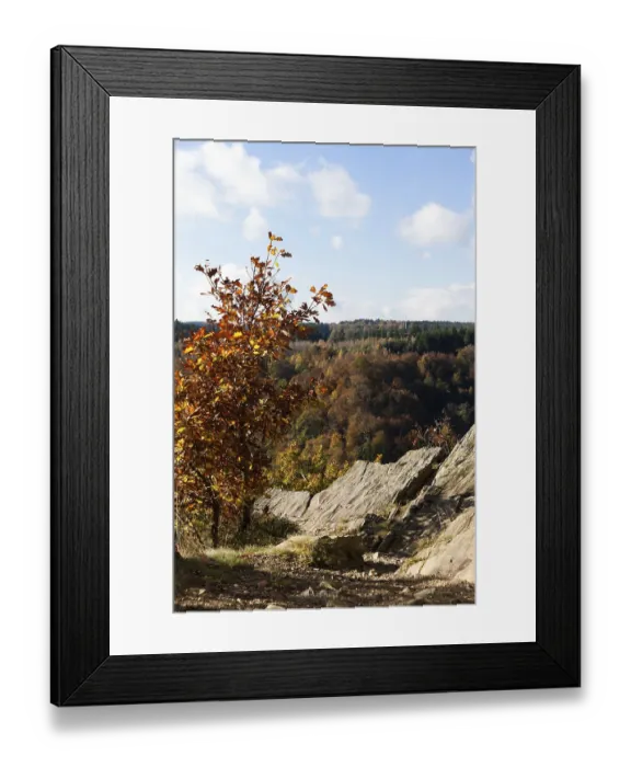 Framed Print : View of the Selketal in autumn Framed Print : View of the Selketal in autumn