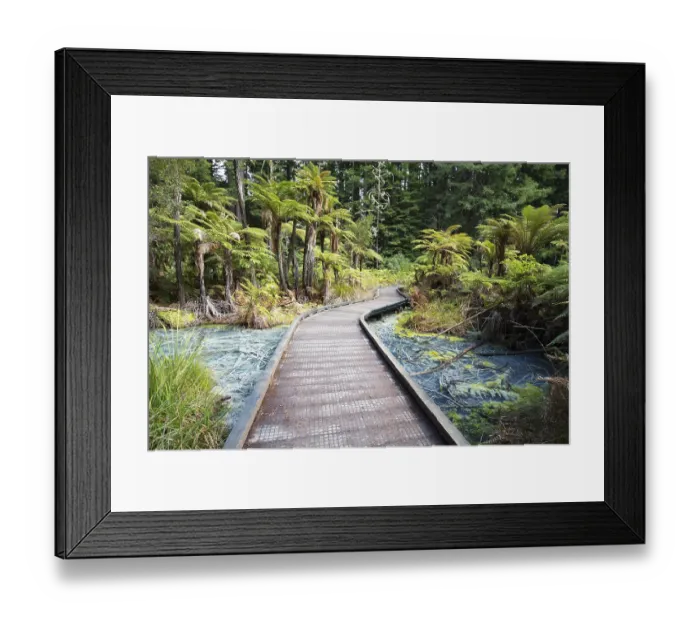 Framed Print : Acidic sulphur pools in the Redwoods forest park Framed Print : Acidic sulphur pools in the Redwoods forest park