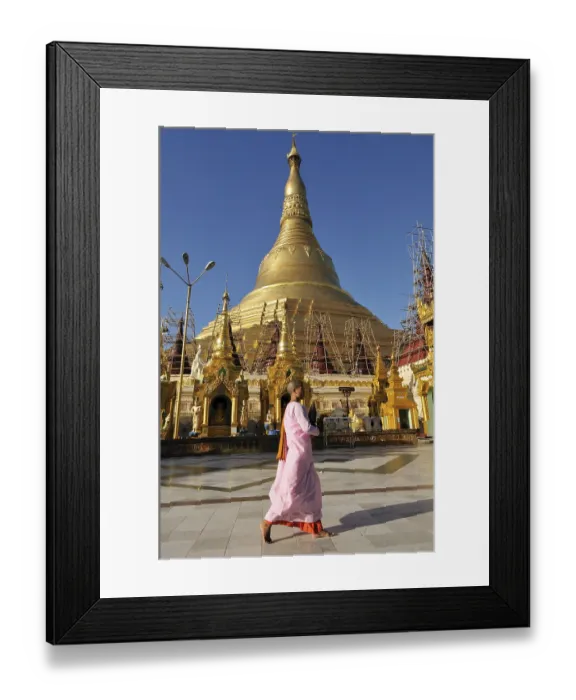 Framed Print : Buddhist nun in front of Shwedagon Pagoda Framed Print : Buddhist nun in front of Shwedagon Pagoda