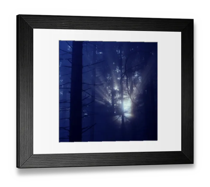 Framed Print : Fog in the forest with rays of sunshine