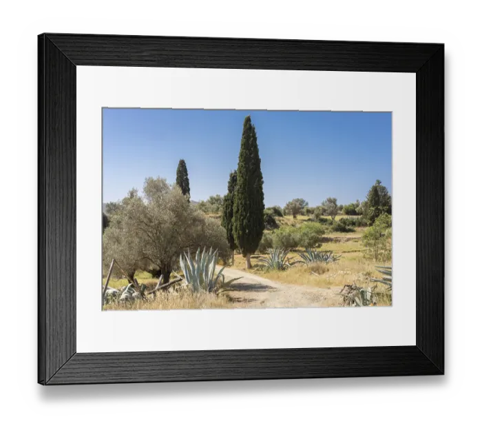 Framed Print : Typical landscape with pine trees and olive groves in south-central Crete near the villages Pitsidia and Matala