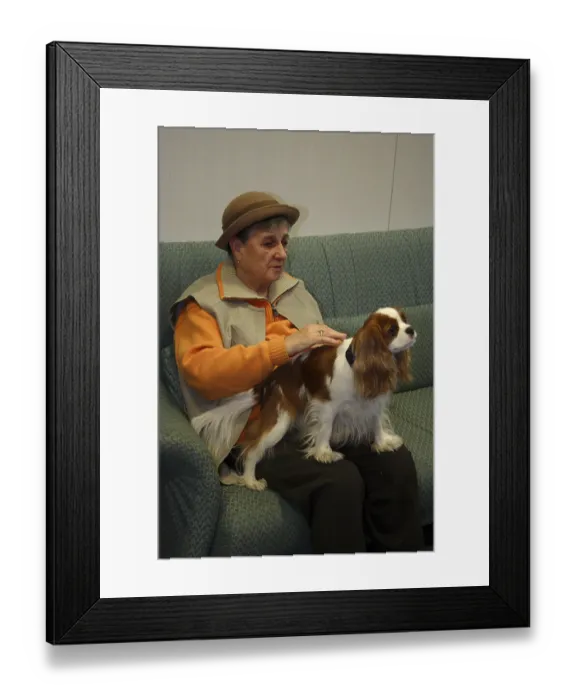 Framed Print : Senior citizen with Cavalier King Charles Spaniel