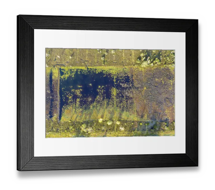 Framed Print : Moor renaturation, Konigsdorf Moor near Konigsdorf