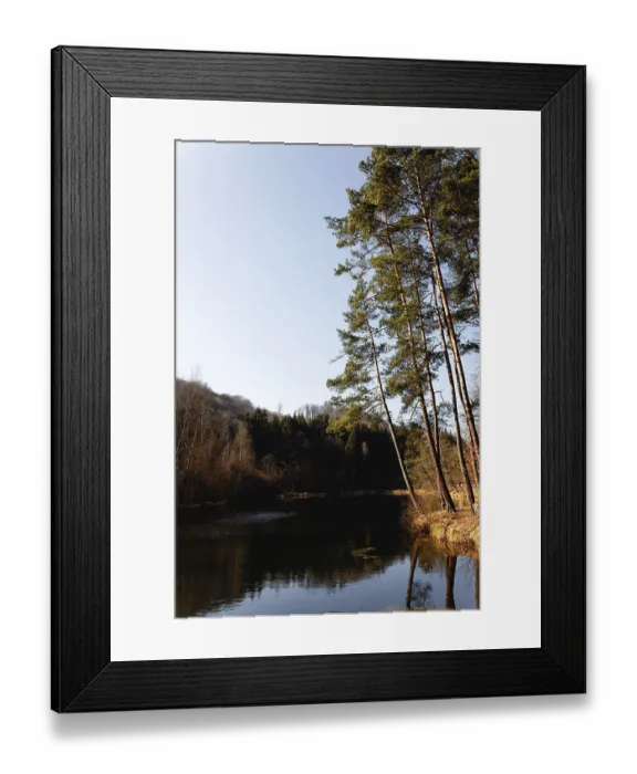 Framed Print : Woog in the Palatinate Forest
