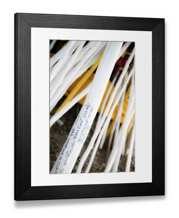 Framed Print : Buddhist inscripted pieces of wood leaning against a tree Framed Print : Buddhist inscripted pieces of wood leaning against a tree