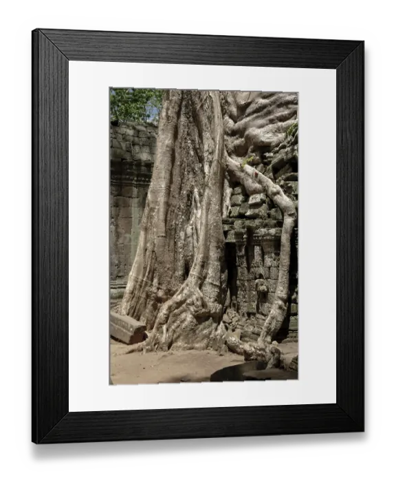 Framed Print : Ta Prohm, Angkor Wat complex, Siem Reap