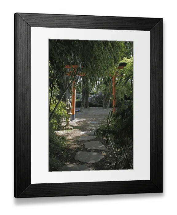 Framed Print : Japanese garden in Bad Langensalza