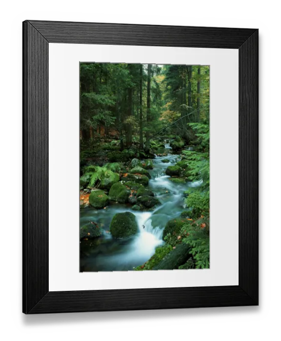 Framed Print : Forest stream in autumn, Schwarzbach