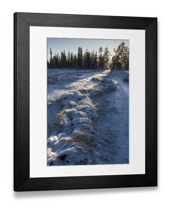 Framed Print : Winter landscape, Muddus National Park