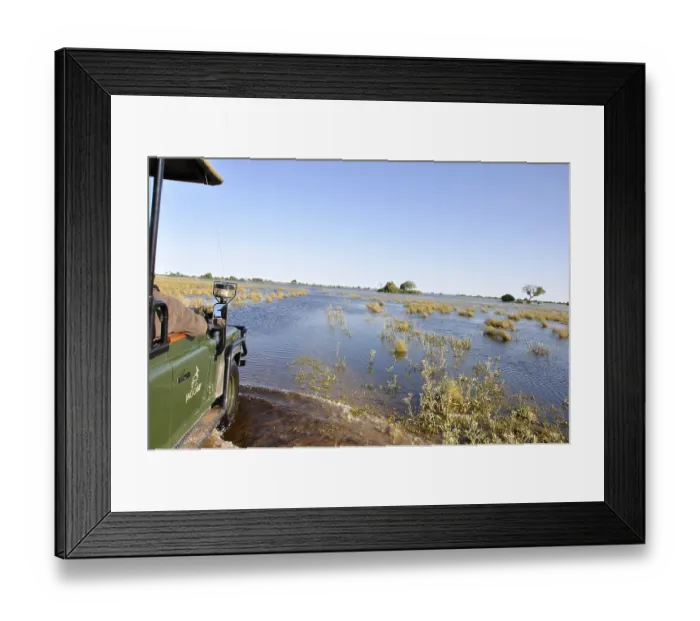 Framed Print : On safari with a 4x4 Landrover in the Okavango Delta swamps Framed Print : On safari with a 4x4 Landrover in the Okavango Delta swamps