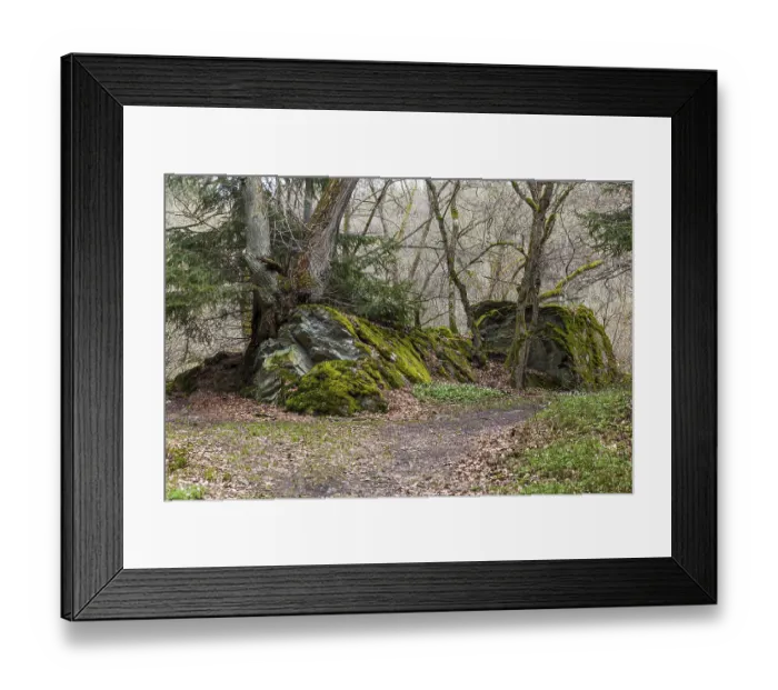 Framed Print : Hiking Trail Harz Selketal