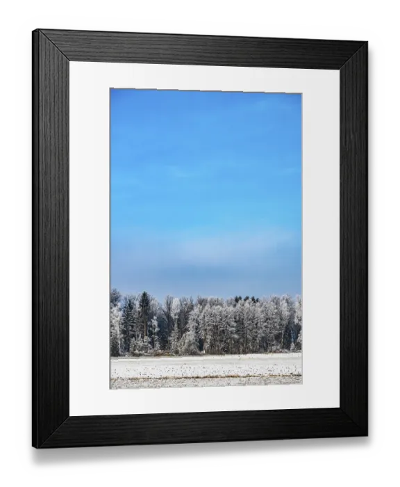 Framed Print : Frost in winter on a forest trees