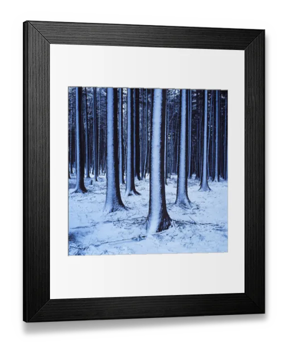 Framed Print : Snowdrifts in spruce forest Germany Framed Print : Snowdrifts in spruce forest Germany