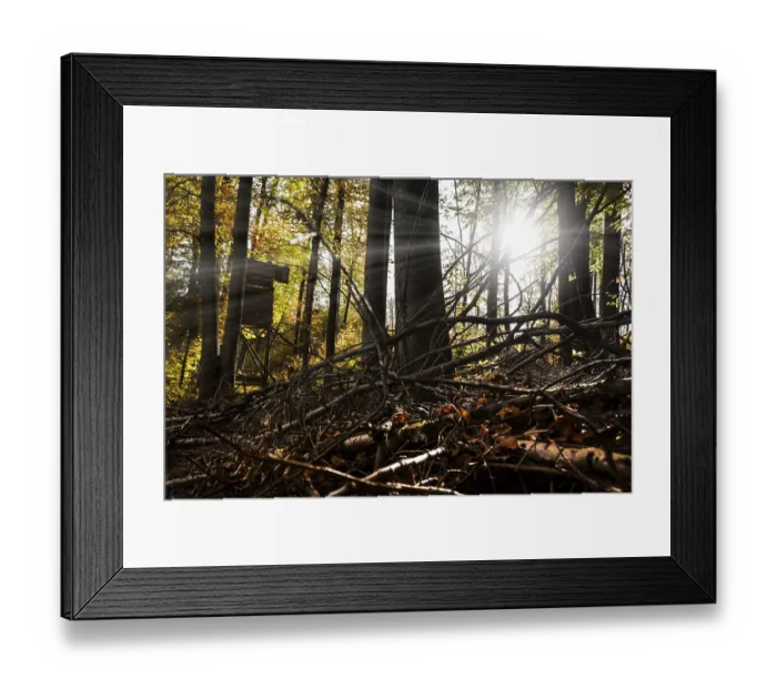 Framed Print : Autumn, raised hide, deciduous forests near Diez Framed Print : Autumn, raised hide, deciduous forests near Diez
