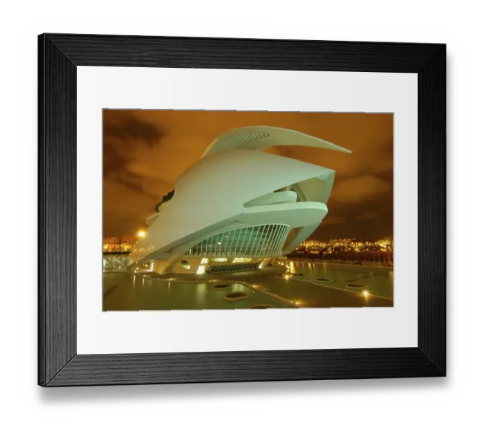 Framed Print : Palau de les Arts Reina Sofia Opera House Framed Print : Palau de les Arts Reina Sofia Opera House