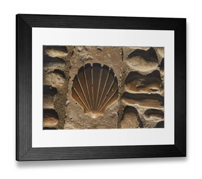 Framed Print : Way of St. James shell, Way of St Framed Print : Way of St. James shell, Way of St