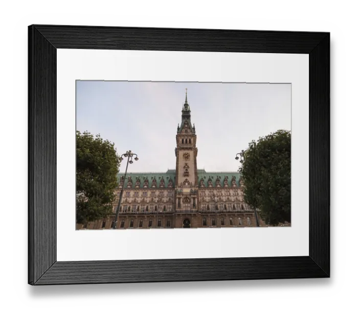 Framed Print : Hamburg City Hall, Hamburg, Germany