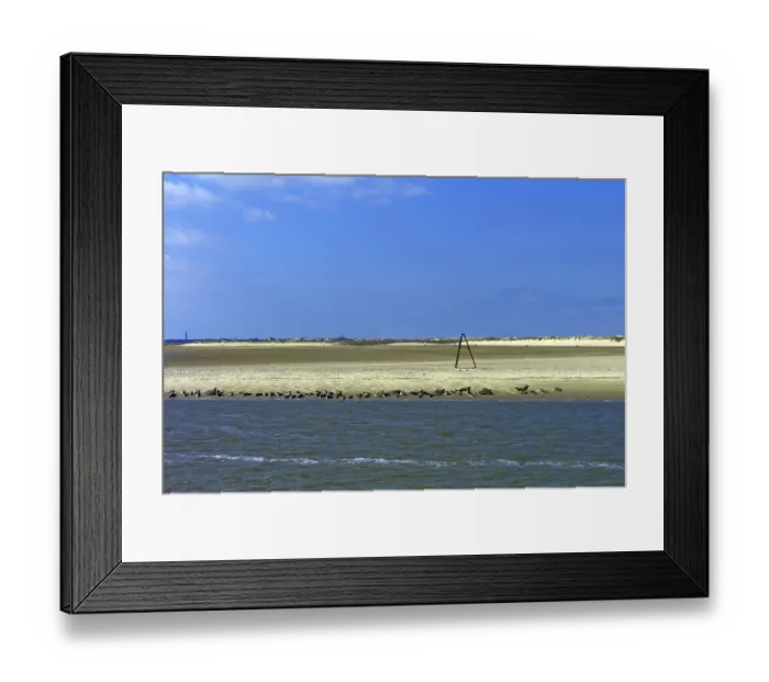Framed Print : View of Norderney Island, Seals on the Beach