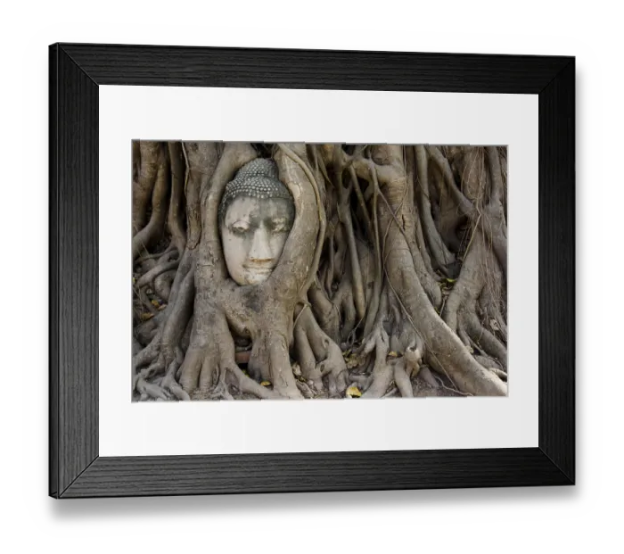 Framed Print : ibxnoh13937215.jpg