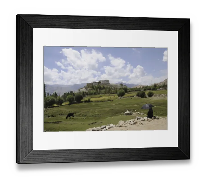 Framed Print : Oasis with Phiyang monastery, Ladakh