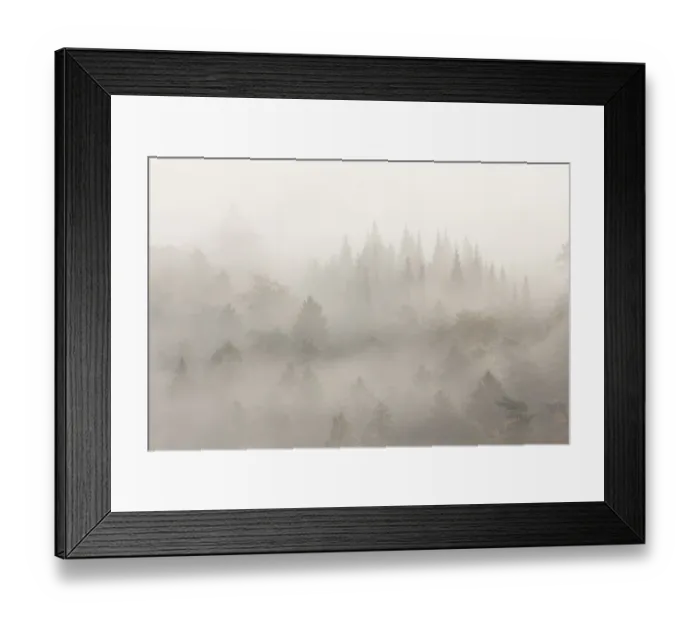 Framed Print : Palatinate Forest in morning mist