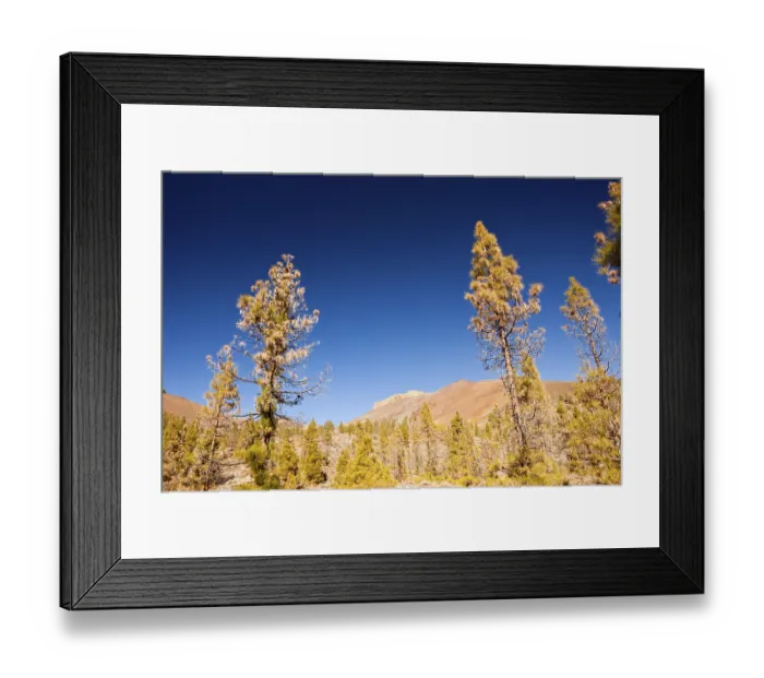 Framed Print : Hiking trail to the White Moon Landscape near Vilaflor