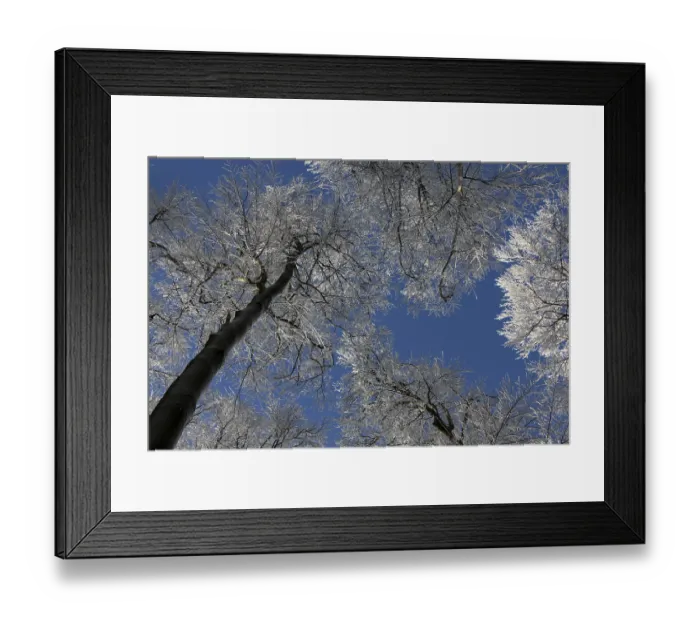 Framed Print : Winter wonderland Framed Print : Winter wonderland