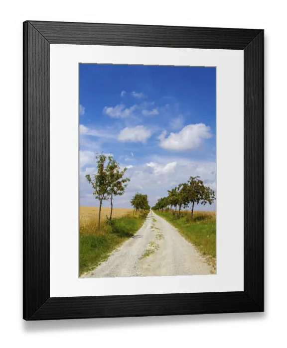 Framed Print : The long way to heaven field path