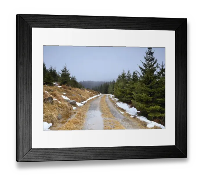 Framed Print : Road through coniferous forest during winter Framed Print : Road through coniferous forest during winter