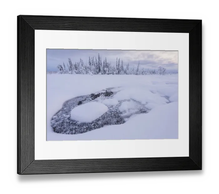 Framed Print : Winter marsh landscape, Muddus National Park