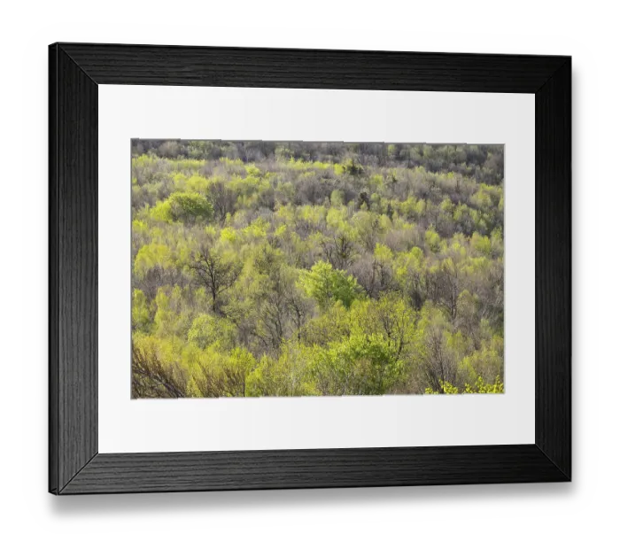 Framed Print : Deciduous forest in spring, view from the Buchkogelwarte at Buchkogel Framed Print : Deciduous forest in spring, view from the Buchkogelwarte at Buchkogel