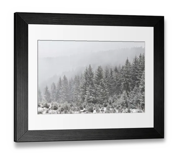 Framed Print : Snowfall in coniferous forest, Harz mountains