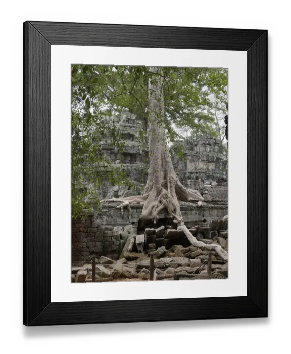 Framed Print : Tree roots grow over the ancient Ta Prohm temple