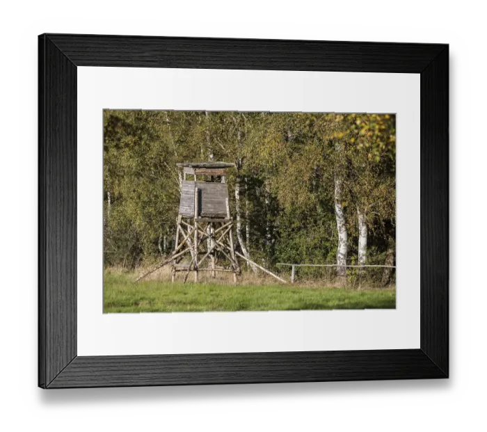 Framed Print : High seat in the Harz Mountains