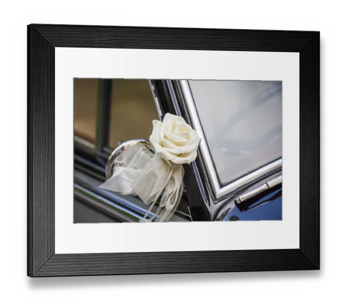 Framed Print : White rose on the mirror of a classic car